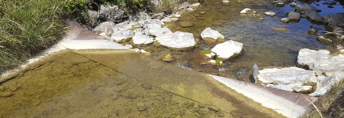 Tiefer Pegelstand der Steinach